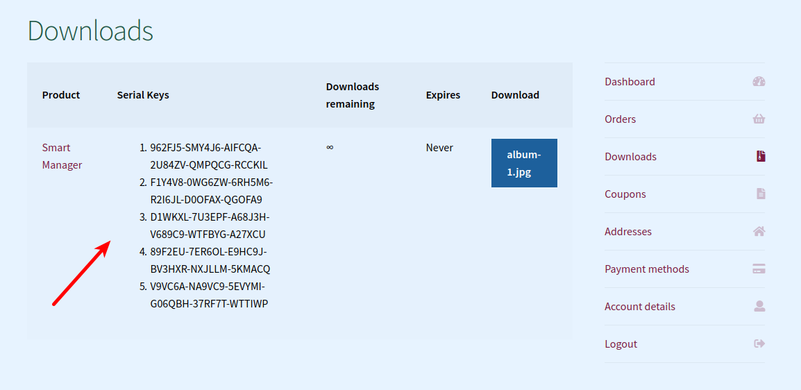 Multiple Serial key Downloads page